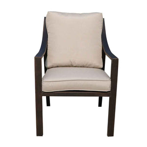 Laguna Outdoor Aluminum Dining Chair with Cushion, Set of 2