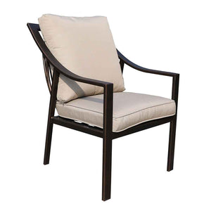 Laguna Outdoor Aluminum Dining Chair with Cushion, Set of 2